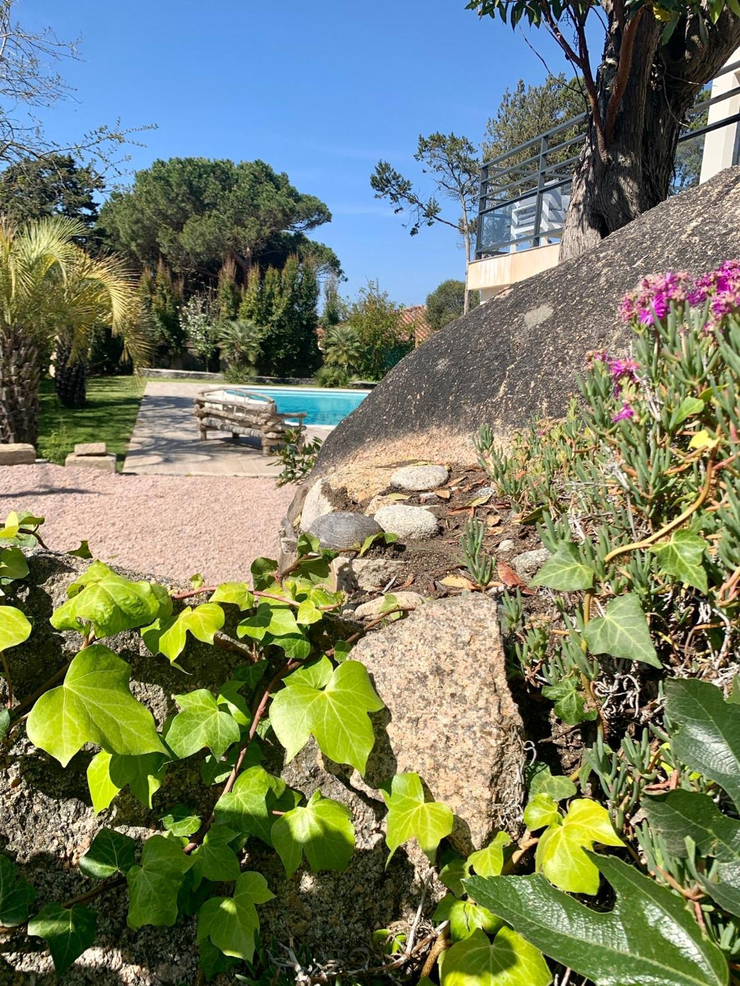 Villa Macalia Pietrosella 外观 照片